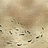 Панно и фотообои Coordonne Random Metallics 9600060