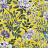 Обои Designers Guild Porcelaine de chine PDG1146/03