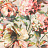 Обои Rasch Florentine 3 485141