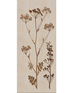 Панно и фотообои Iksel Scenic & Architectural Wallpapers Herbier Herb4