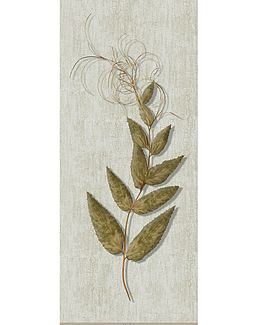 Панно и фотообои Iksel Scenic & Architectural Wallpapers Herbier Herb6