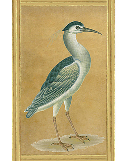 Панно и фотообои Iksel Scenic & Architectural Wallpapers Johann Walter Birds Walt1