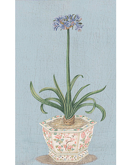 Панно и фотообои Iksel Scenic & Architectural Wallpapers Potted Flowers PF23