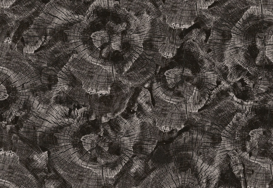 Панно и фотообои Uniwal Sylva 1 SY10401C