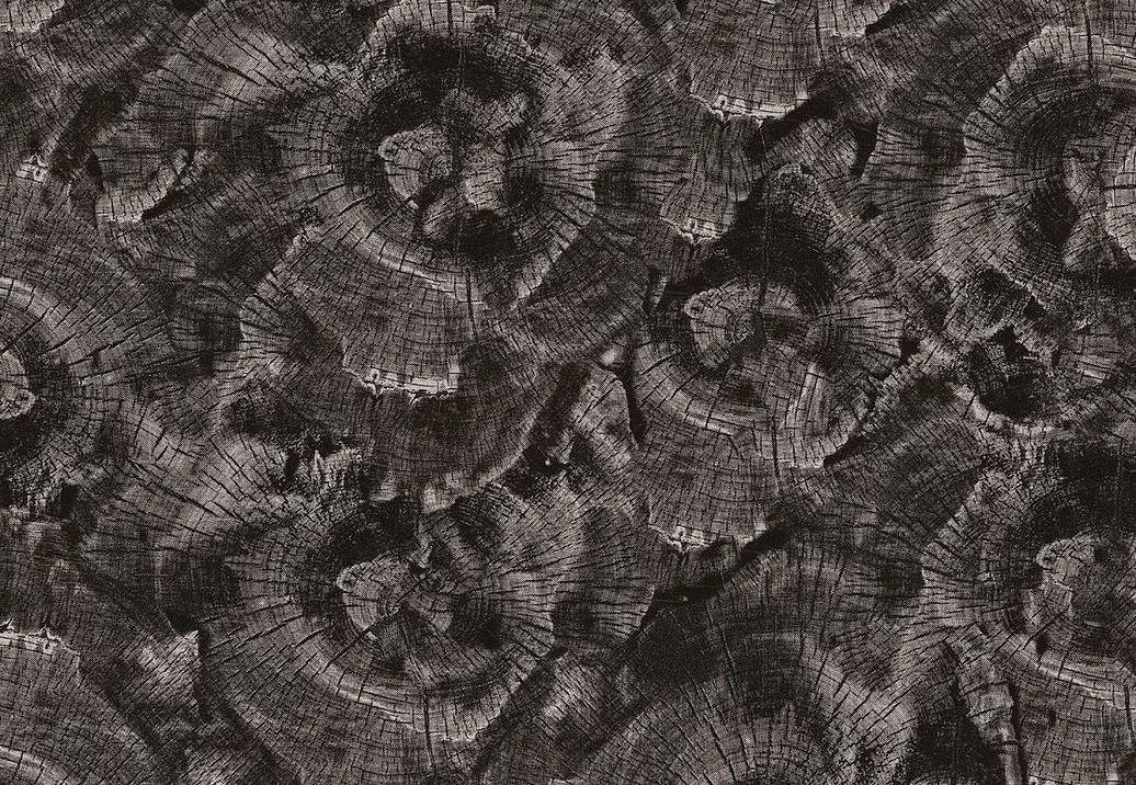 Панно и фотообои Uniwal Sylva 1 SY10401C