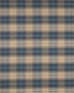 Ткань Colefax and Fowler Magnus Checks F4720/01