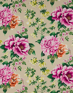 Ткань Manuel Canovas Alba M4074-01