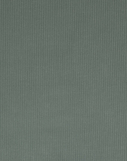 Ткань Manuel Canovas Roma M4066-03