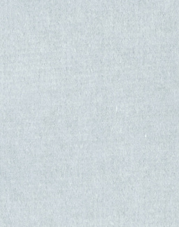 Ткань Alessandro Bini Velluto di Cotone G075/406