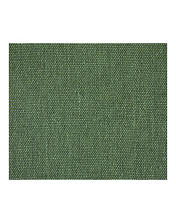 Ткань Alessandro Bini Bel Lino G077/106