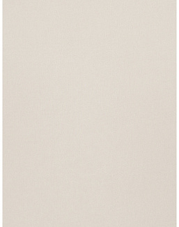 Ткань Trend Simple Wide Sheers 03191/champagne