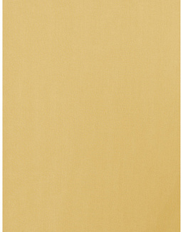 Ткань Trend Simple Wide Sheers 03341/honey