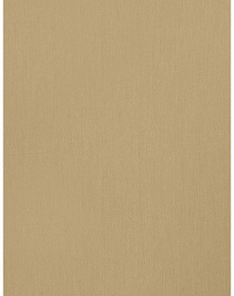 Ткань Trend Simple Wide Sheers 03340/muslin