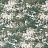 Ткань Lorenzo Castillo Volume VI - Teodora LCT1045-001
