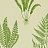Обои Sanderson Wallpapers from a Painters Garden DAPGWO102