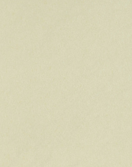 Обои Osborne & Little Chroma W7360-07