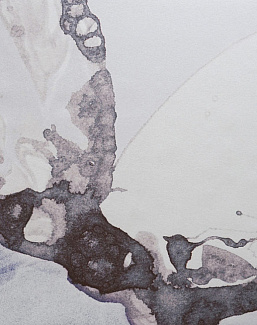 Панно и фотообои Calico Microcosmos Plume