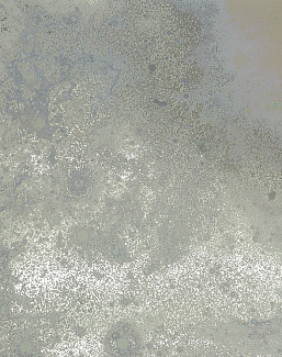 Панно и фотообои Calico Inverted Spaces Ursa