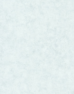 Обои Caselio Beton 2 BTO101486012