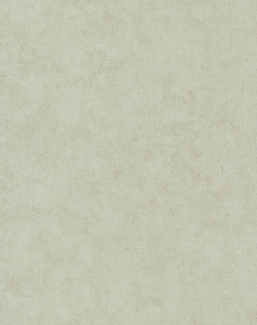 Обои Caselio Beton 2 BTO101487270