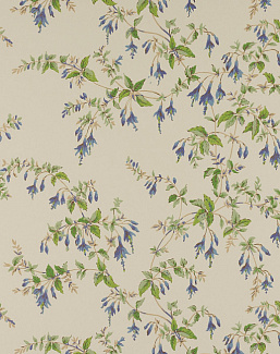 Обои Colefax and Fowler Ashdown Wallpapers W7018/01