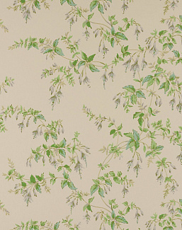 Обои Colefax and Fowler Ashdown Wallpapers W7018/02