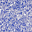 Обои Pierre Frey Iles Enchantees FP977003