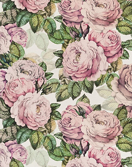 Ткань Designers Guild Picture Book Prints FJD6006/02