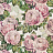 Ткань Designers Guild Picture Book Prints FJD6006/02
