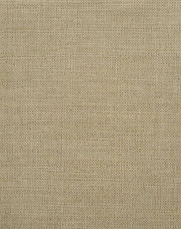 Ткань Jim Thompson Raffia Weaves JT013920001