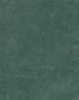 Ткань Nina Campbell Gabrielle NCF4540-05