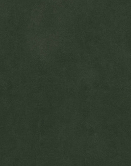 Ткань Nina Campbell Gabrielle NCF4540-15