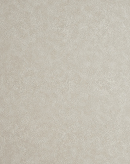 Обои Clarke & Clarke Reflections W0056/05