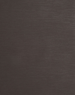 Обои Clarke & Clarke Reflections W0059/03