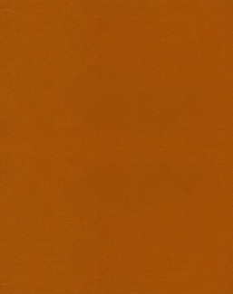 Ткань KAI Koji Koji/Butternut