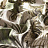 Ткань Chivasso Carlucci di Chivasso Foresta Botanica CA1443/030
