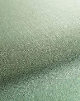 Ткань Chivasso Carlucci di Chivasso Two-Tone vol.2 CA7655/131