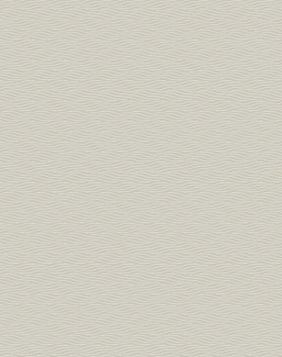 Обои York Natural Discovery (Candice Olson) NT6153