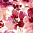 Обои York Stacy Garcia - Paper Muse ST6022