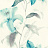 Обои Wallquest Jasmine JA31602