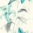 Обои Wallquest Jasmine JA31602