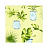 Обои Thibaut Waterlily T1153