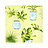 Обои Thibaut Waterlily T1153