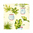 Обои Thibaut Waterlily T1156