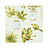 Обои Thibaut Waterlily T1157