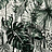 Ткань Christian Lacroix Belles Rives Prints And Weaves FCL038/01