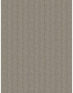 Ткань Fabricut Checks&Stripes Avalon Lane Bitterroot/Newsprint