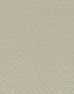 Ткань Camengo Espuma A38800619