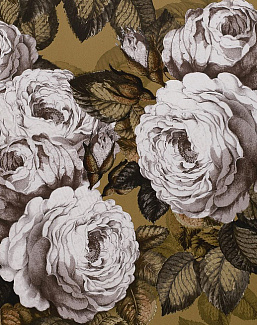Обои Designers Guild John Derian - Picture Book PJD6002-04