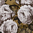 Обои Designers Guild John Derian - Picture Book PJD6002-04